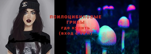 соль ск Аркадак