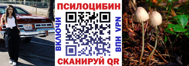 хочу Искитим Псилоцибиновые грибы мицелий